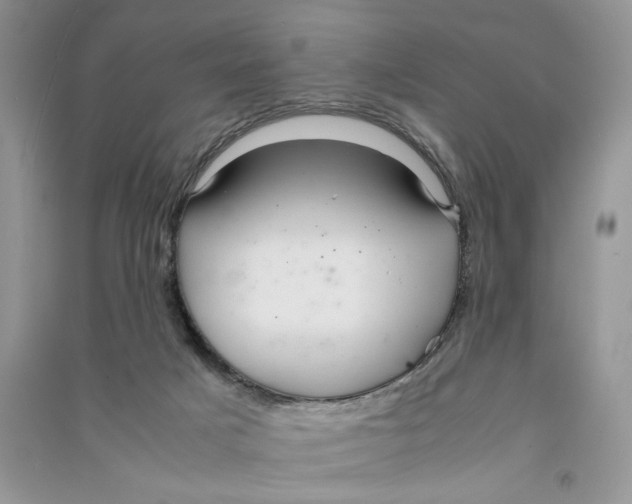 X0000090600025200708141340