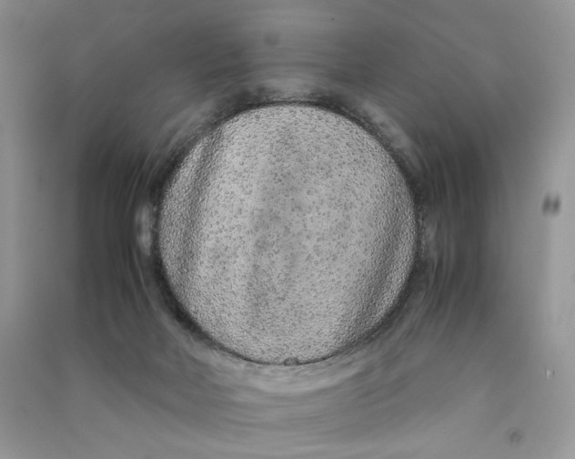 X0000090600026200708141340