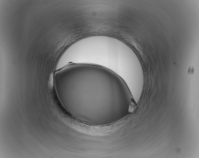 X0000090600027200708141340