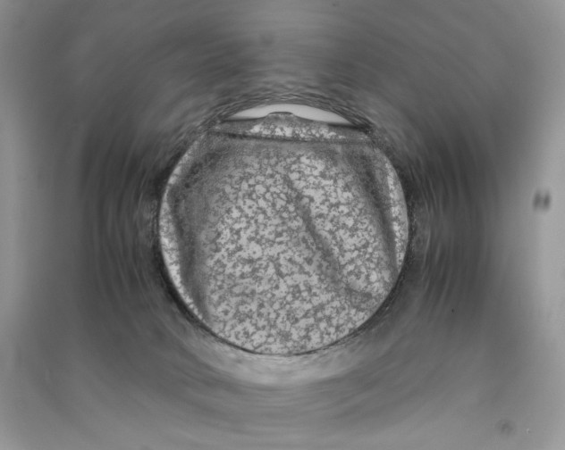 X0000090600034200708141340