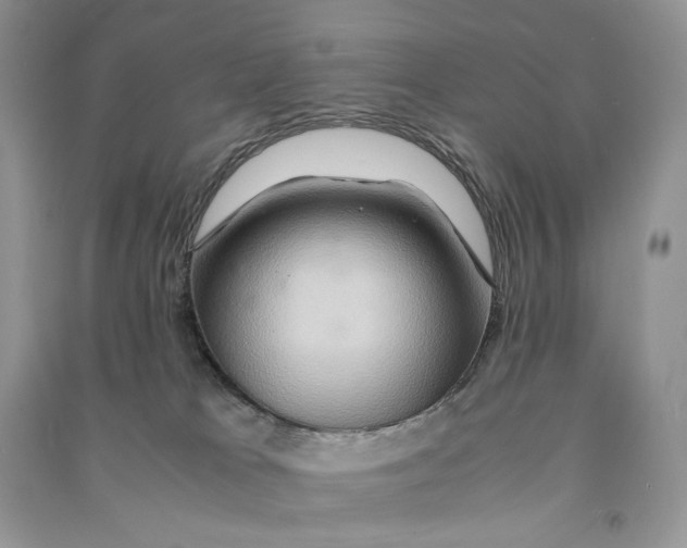 X0000090600037200708141340