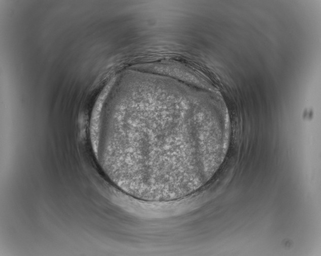 X0000090600038200708141340