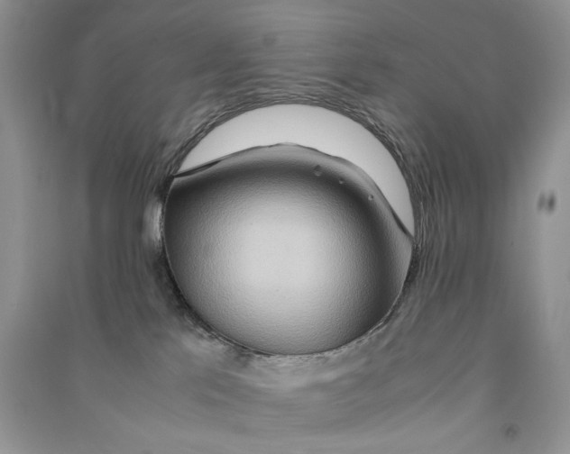 X0000090600041200708141340