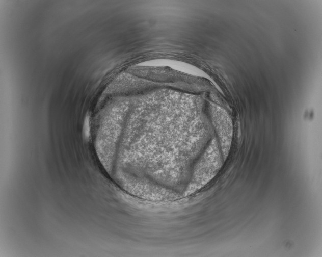 X0000090600042200708141340