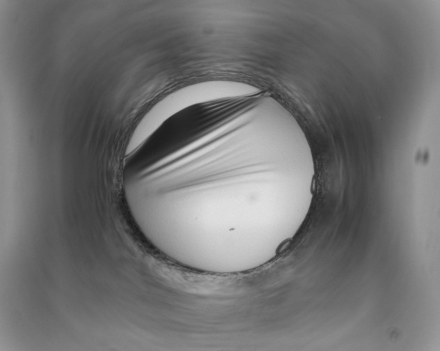 X0000090600044200708141339