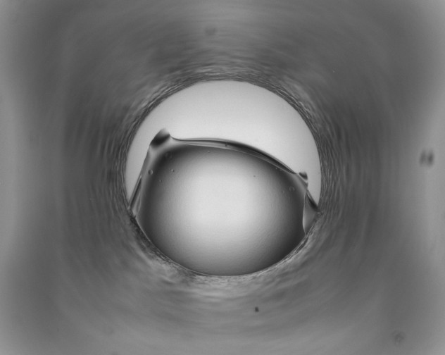 X0000090600045200708141339