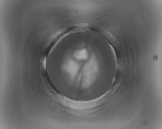 X0000090600047200708141339