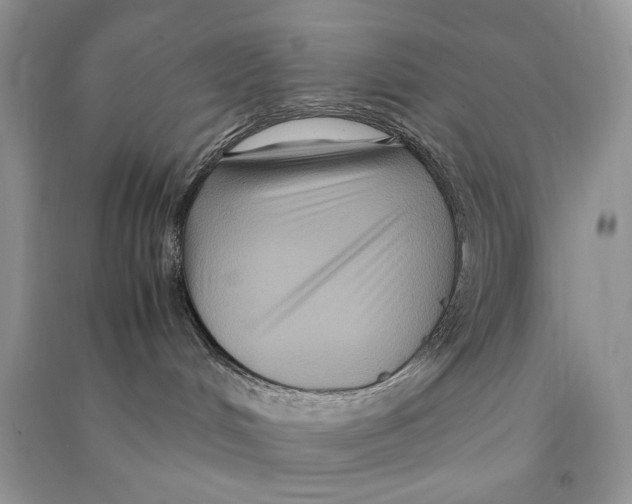 X0000090600048200708141339