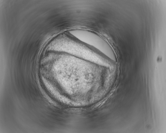 X0000090600049200708141339