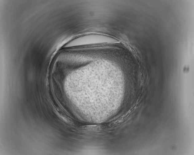 X0000090600050200708141339