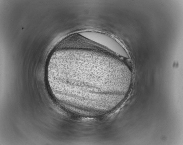 X0000090600055200708141339