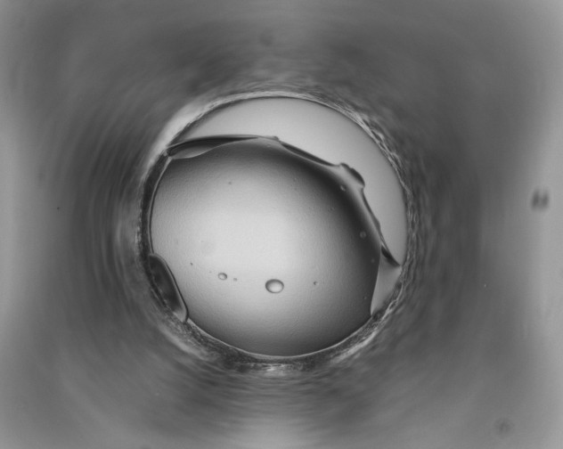 X0000090600056200708141339