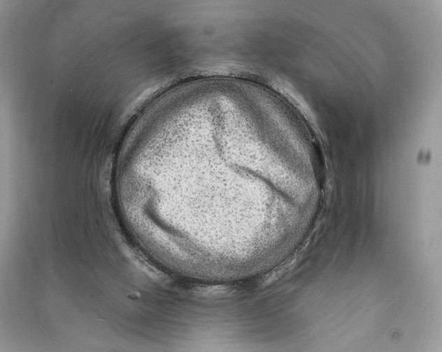 X0000090600058200708141339