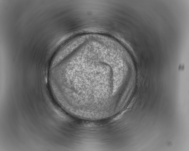 X0000090600062200708141339