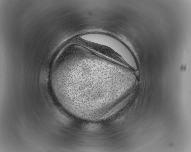 X0000090600063200708141339