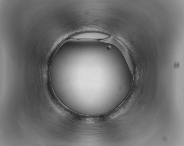 X0000090600064200708141339