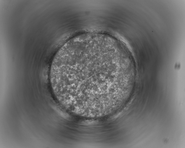 X0000090600065200708141339