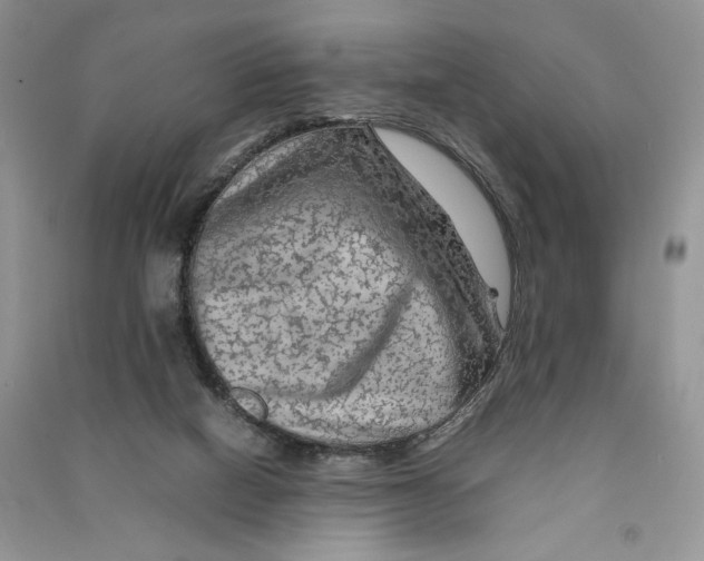 X0000090600066200708141339