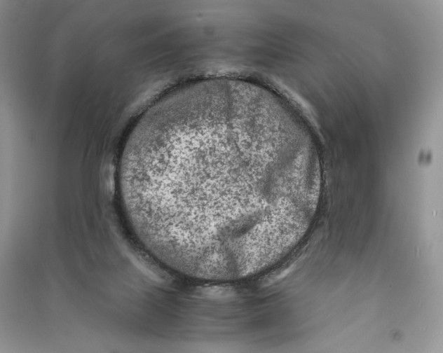 X0000090600067200708141339