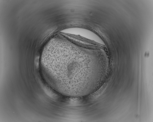 X0000090600070200708141339