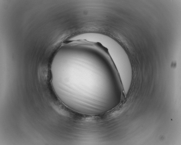 X0000090600072200708141339