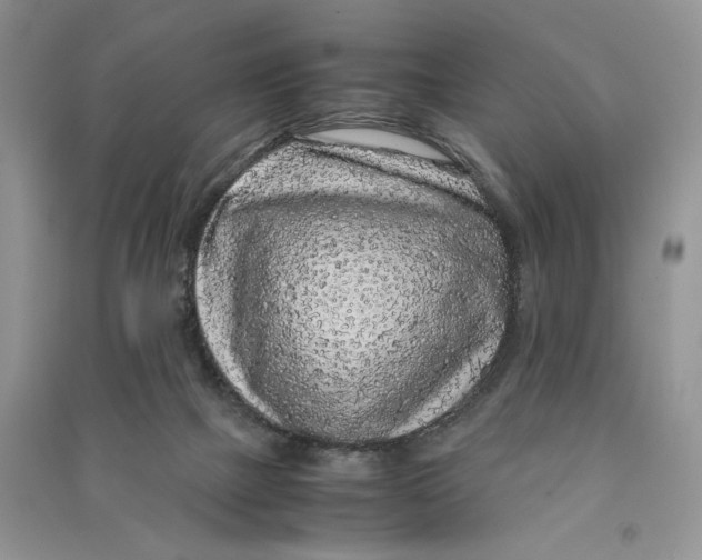 X0000090600073200708141339