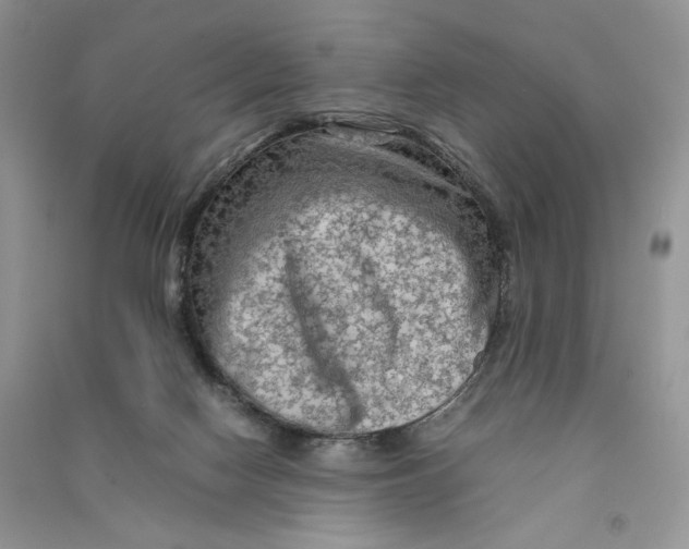 X0000090600074200708141339