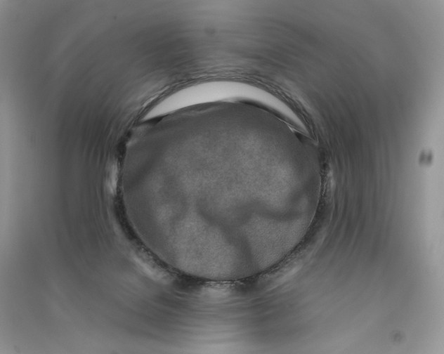 X0000090600076200708141339