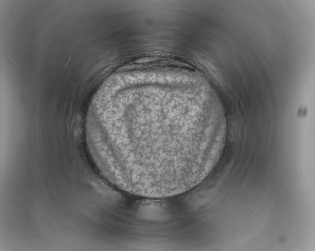 X0000090600077200708141339