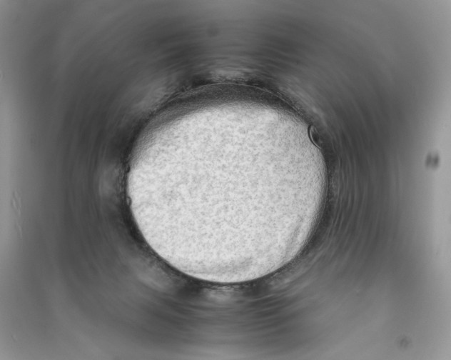 X0000090600079200708141339