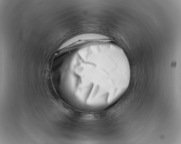 X0000090600083200708141339