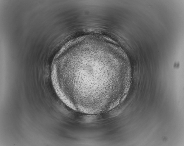 X0000090600085200708141339