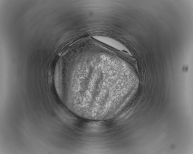 X0000090600086200708141339