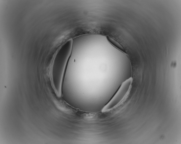 X0000090600088200708141339