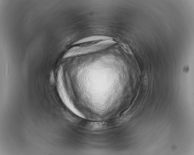 X0000090600089200708141339