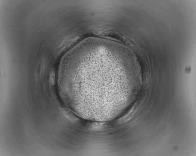 X0000090600090200708141339