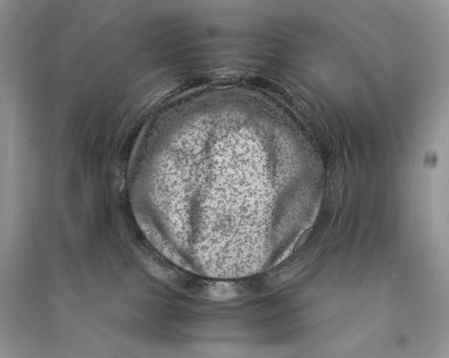 X0000090600091200708141339