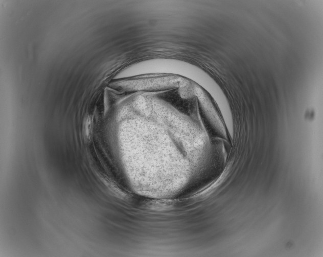 X0000090600094200708141339