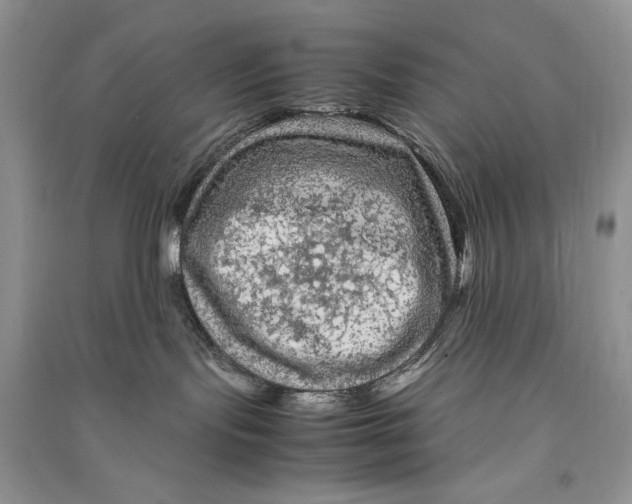 X0000090600095200708141339