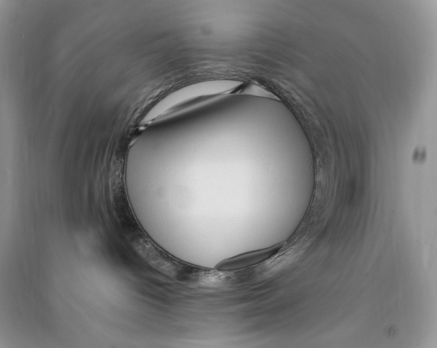 X0000090600096200708141339