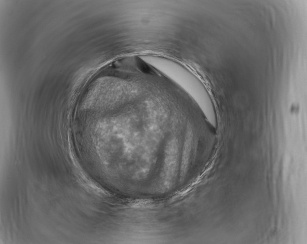 X0000090600097200708141339