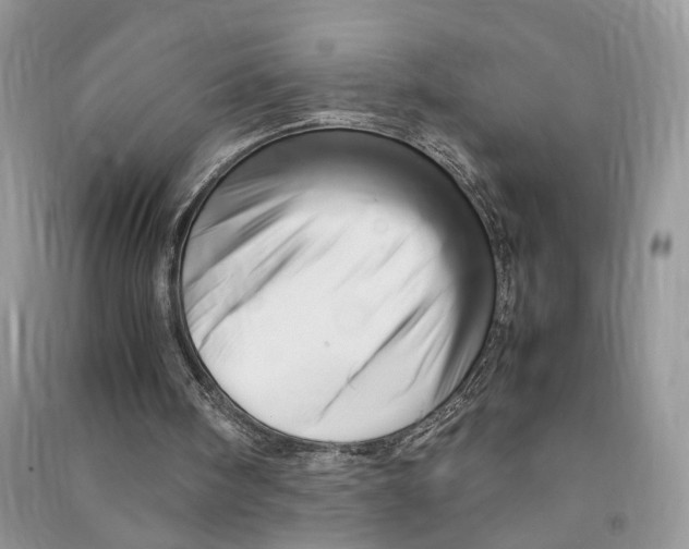 X0000090600098200708141339