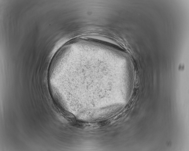 X0000090600099200708141339