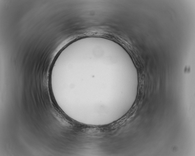 X0000090600100200708141339