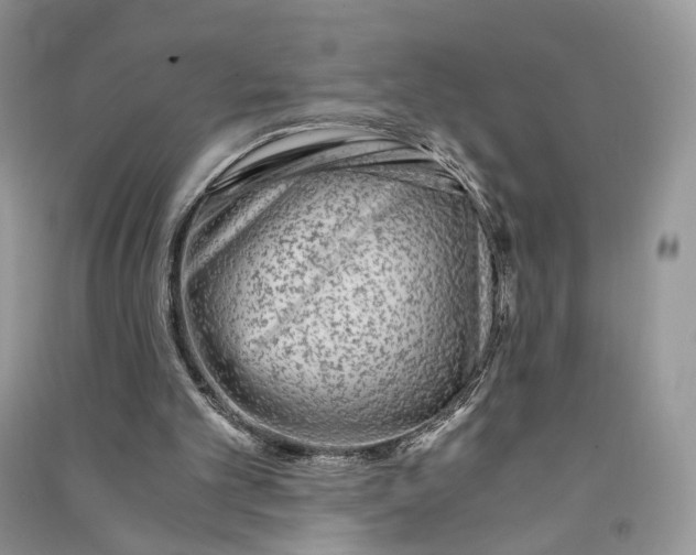 X0000090600101200708141339