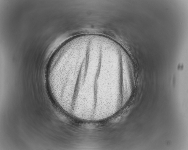 X0000090600103200708141339