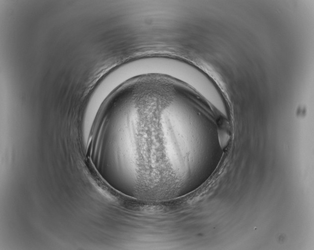 X0000090600105200708141339