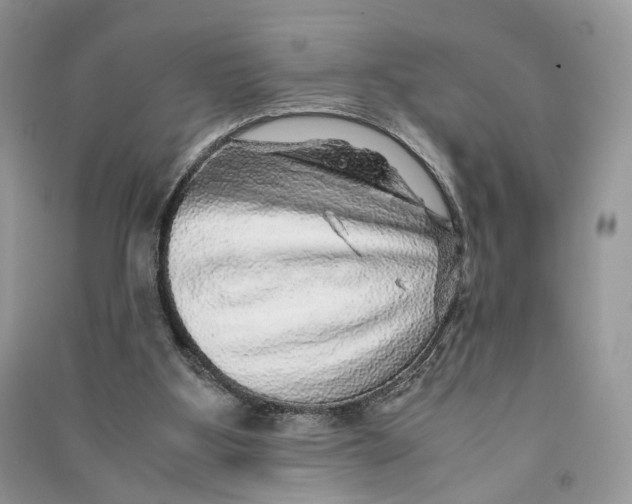 X0000090600107200708141339