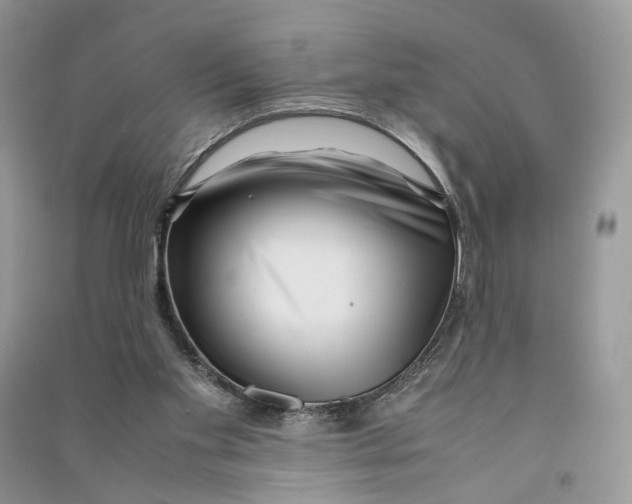 X0000090600109200708141339