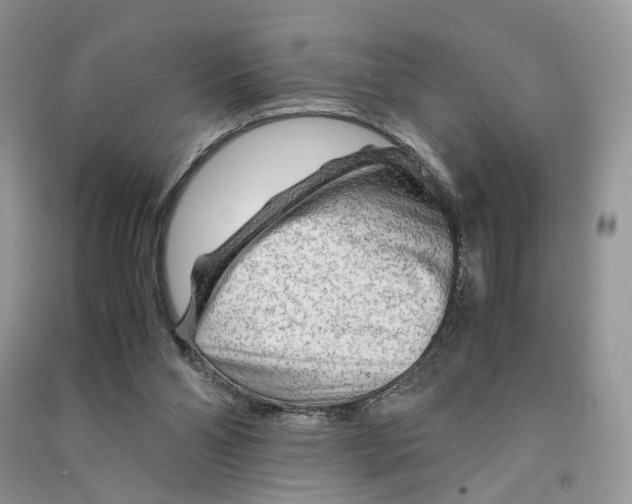 X0000090600110200708141339